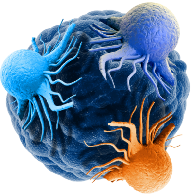 Tumour Models London Summit