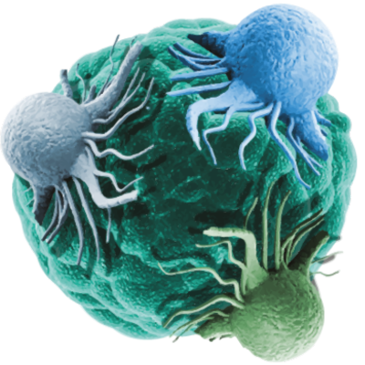 Tumour Models Summit Nordics