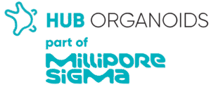 HUBOrganoids Logo - 11th 3D Tissue Models Summit