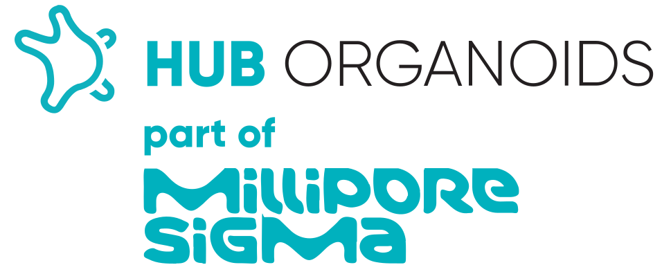 HUBOrganoids Logo - 11th 3D Tissue Models Summit
